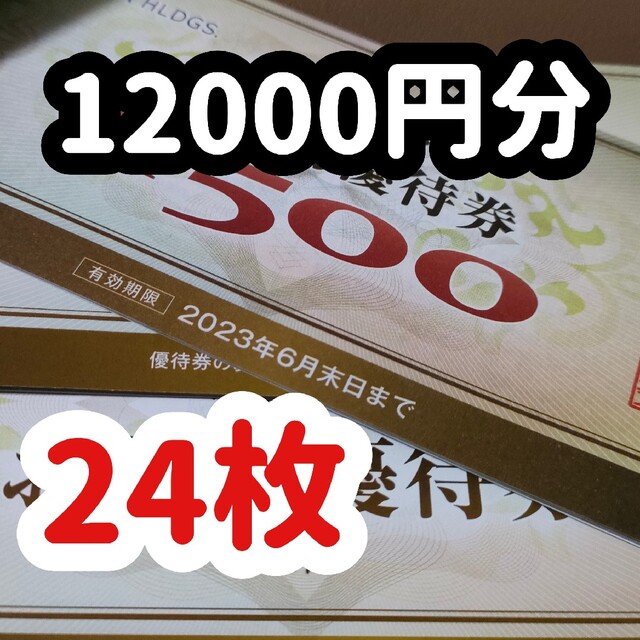 ヤマダ電機 株主優待券 12000円分 最新 匿名配送 # www.uig