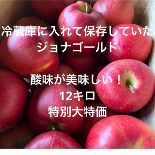 【青森県産】【ジョナゴールド】【送料無料】産地直送　12キロ　訳あり　家庭用　(フルーツ)