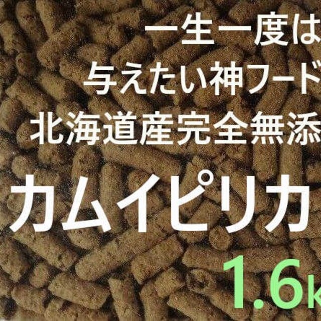 カムイピリカ1.6kg 　一生一度は与えたい神フード