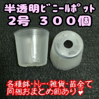 半透明ビニールポット 2号 6cm 300個 プラ鉢ポリポット多肉植物プレステラ(プランター)