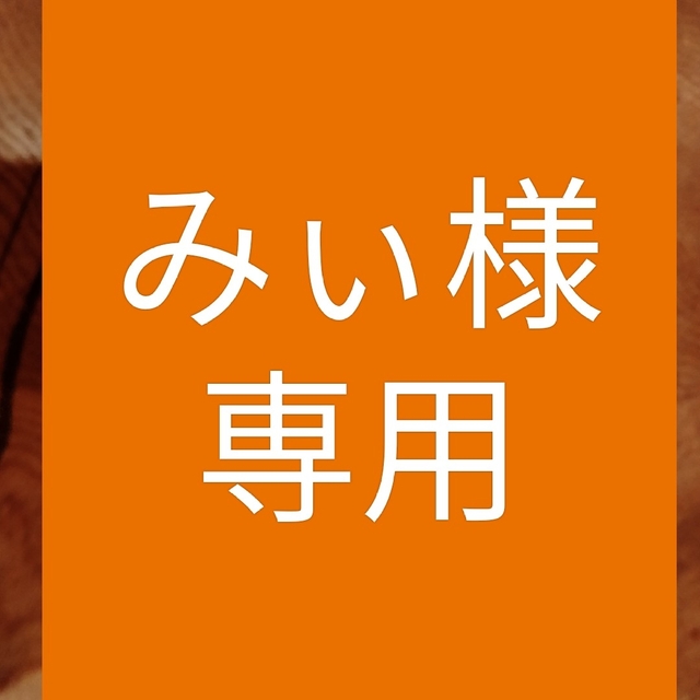 みい様専用商品 その他のその他(その他)の商品写真