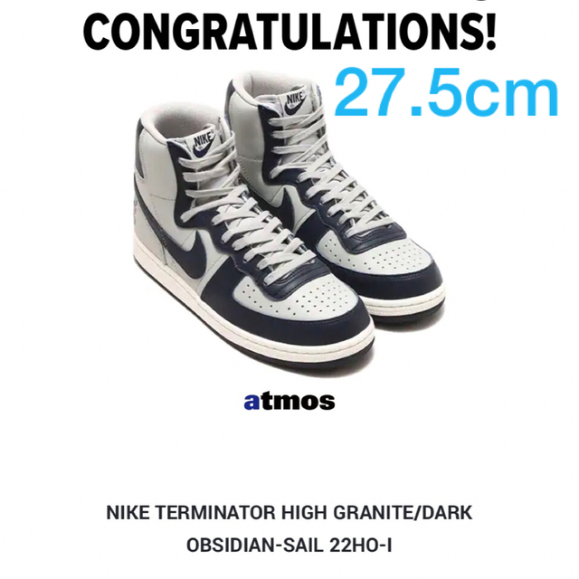 NIKE(ナイキ)のNike Terminator High nike ターミネーター メンズの靴/シューズ(スニーカー)の商品写真