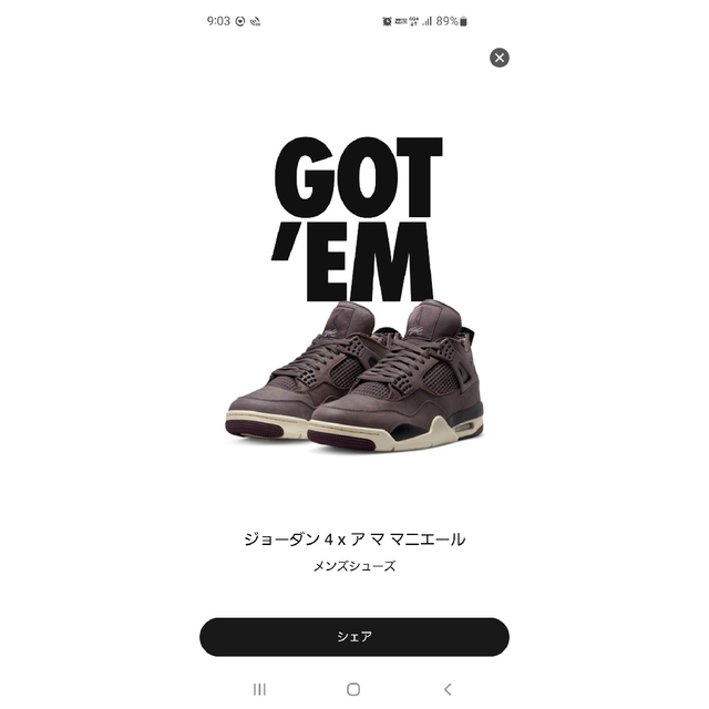 NIKE ジョーダン4 アママニエール　28.5