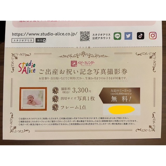 スタジオアリス⁂撮影券 チケットの優待券/割引券(その他)の商品写真