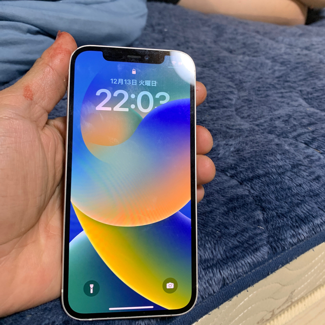 iPhone 12 pro 128gb ジャンク しょび様専用 新品同様 noxcapital.de