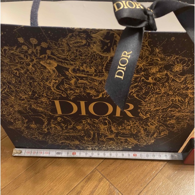 Christian Dior(クリスチャンディオール)のクリスチャンディオール　Dior 限定ショッパー レディースのバッグ(ショップ袋)の商品写真