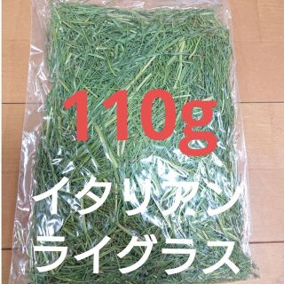 乾燥牧草  イタリアンライグラス  110g(ペットフード)