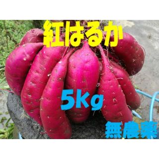 大分県産 紅はるか Ｌサイズ ５kg(野菜)