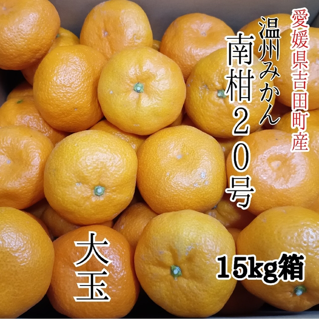 愛媛県産　南柑20号　みかん　柑橘　　15kg