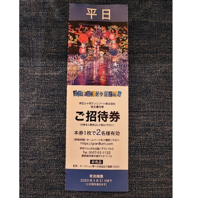 伊豆高原 グランイルミ 平日2名様×1枚 チケットの施設利用券(遊園地/テーマパーク)の商品写真