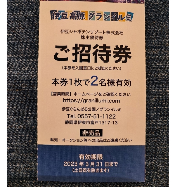 伊豆高原 グランイルミ 平日2名様×1枚 チケットの施設利用券(遊園地/テーマパーク)の商品写真