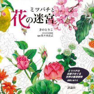 ミツバチと花の迷宮ーミツバチの目線でめぐる世界の蜜源植物　迷路とぬりえ(その他)