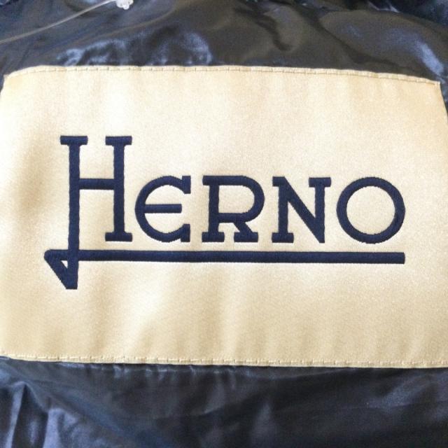 HERNO(ヘルノ)のヘルノ ダウンコート サイズ44 L - 長袖/冬 レディースのジャケット/アウター(ダウンコート)の商品写真