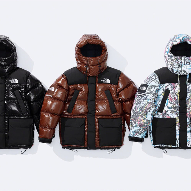 Supreme(シュプリーム)のsupreme The North Face 700-Fill Down 茶 メンズのジャケット/アウター(ダウンジャケット)の商品写真