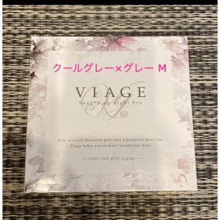 ヴィアージュ(VIAGE)のビアージュ  ナイトブラ❁クールグレー×グレー　M(その他)