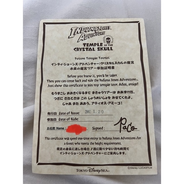 Disney(ディズニー)のまま様専用 チケットの施設利用券(遊園地/テーマパーク)の商品写真