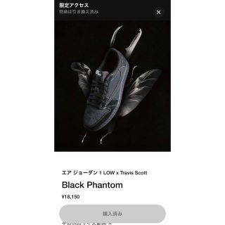 ナイキ(NIKE)のTravis Scott Nike Jordan Black Phantom (スニーカー)