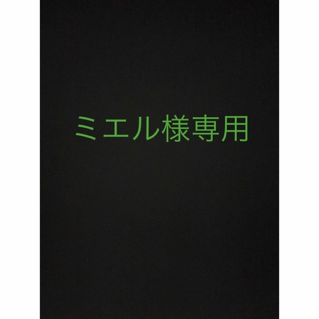 グラマーさん限定✨♥️H85ブラショーツLL4点セット