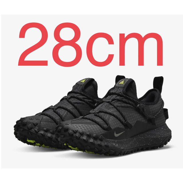 NIKE ACG MOUNTAIN FLY  LOW SE ☆28cm