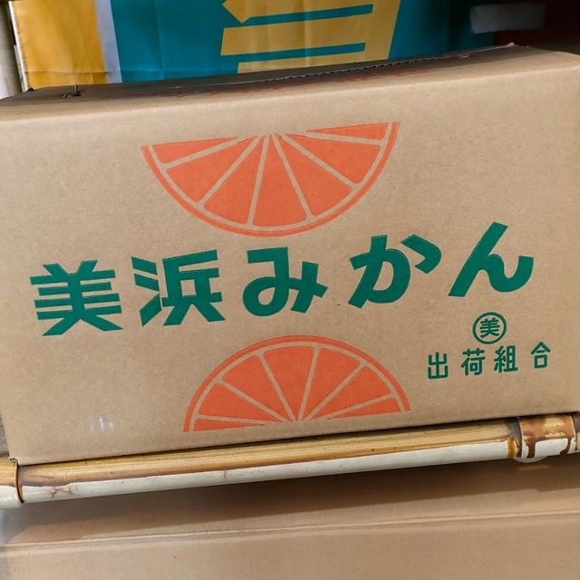 本州、四国宛限定 美浜みかん 10キロ 本州、四国宛限定 美浜みかん10キロ