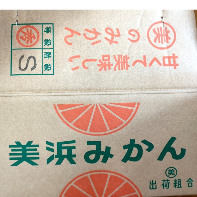本州、四国宛限定 美浜みかん10キロ | フリマアプリ ラクマ 本州、四国宛限定 美浜みかん10キロ