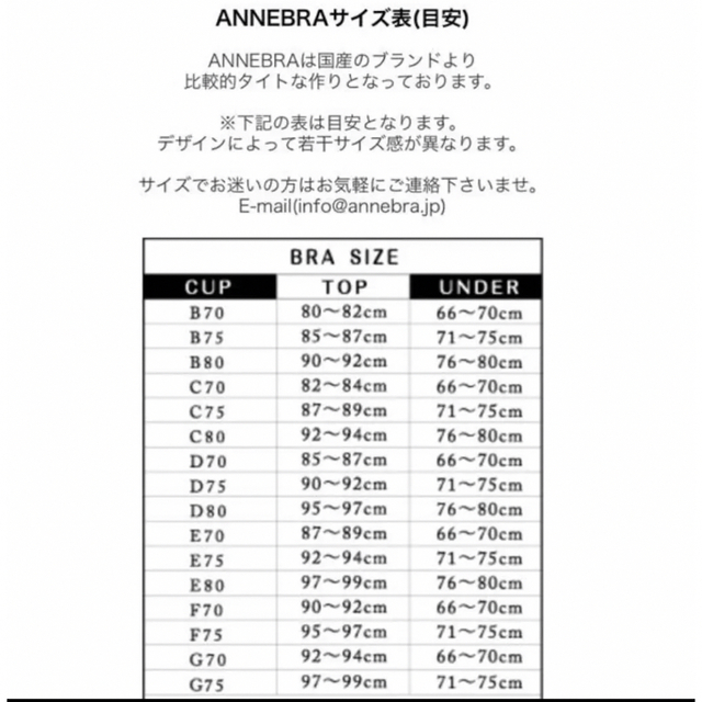 アンブラ ブラジャー Tバックショーツ D70 M ブラック ブロンズ 8