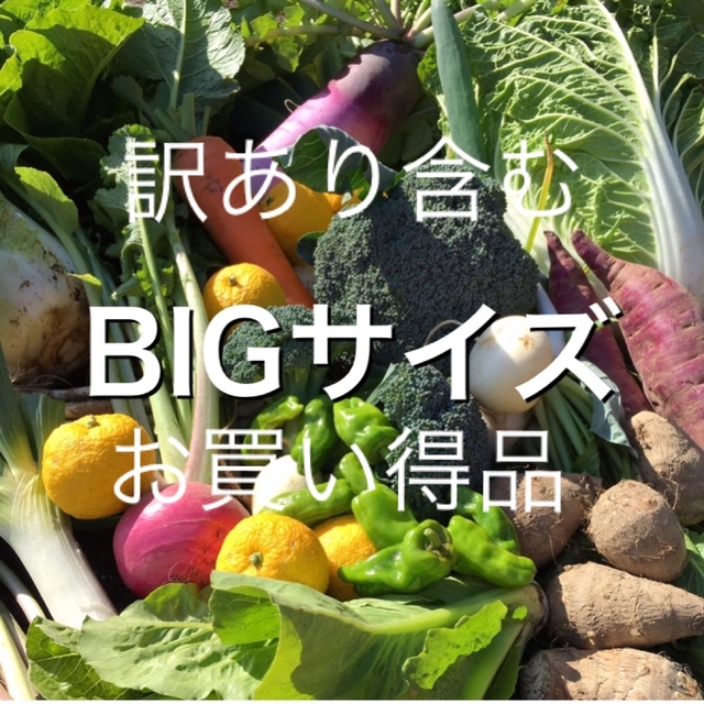 訳あり含む　採れたて新鮮冬野菜詰め合わせ　10kg 食品/飲料/酒の食品(野菜)の商品写真