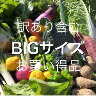 訳あり含む　採れたて新鮮冬野菜詰め合わせ　10kg(野菜)