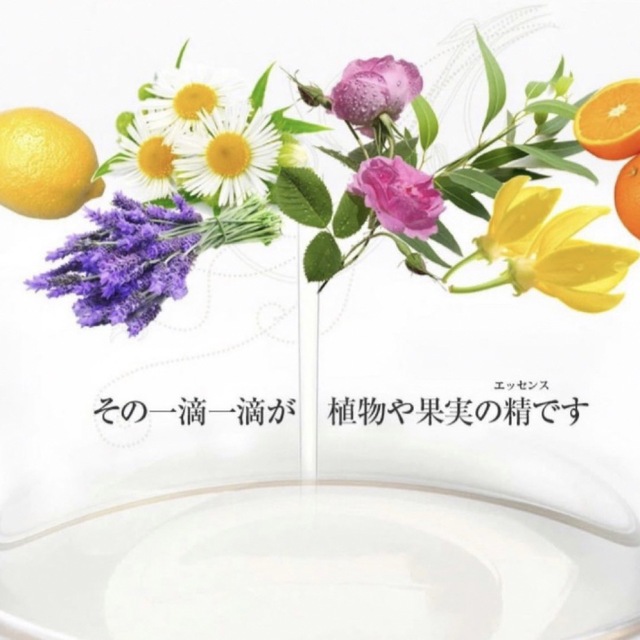 年末のプロモーション ☘️サイプレス 10ml NAGOMI Aroma☘️バランス