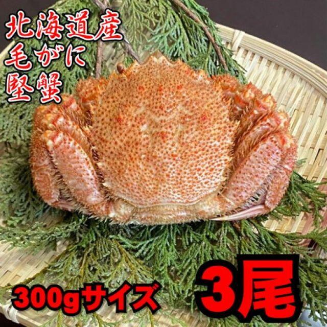 北海道産】高級ボイル毛がに約300-350ｇ 3尾セット - 魚介