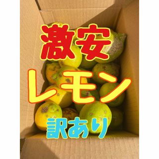 無農薬　農家直送　レモン　国産　5キロ(フルーツ)