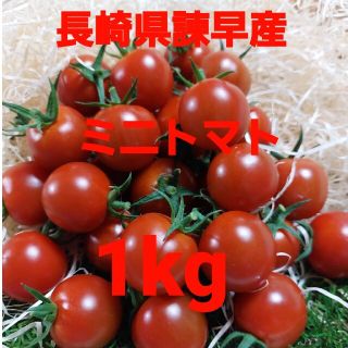 長崎県諫早産ミニトマト1kg(野菜)