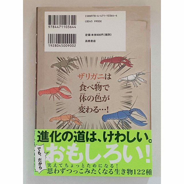 ざんねんないきもの事典 : おもしろい!進化のふしぎ エンタメ/ホビーの本(絵本/児童書)の商品写真