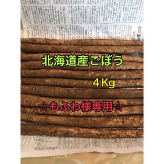 北海道産ごぼう　4キロ(野菜)