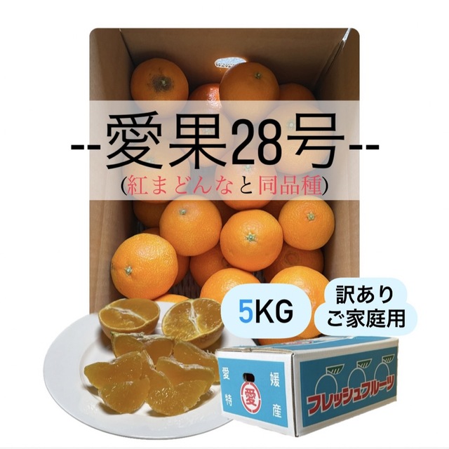 お買い得！-まどんな5kg-訳あり品！@愛媛県産 食品/飲料/酒の食品(フルーツ)の商品写真