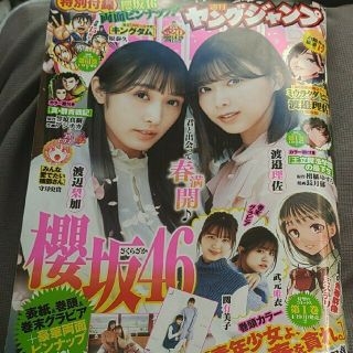 欅坂46(けやき坂46) - 櫻坂46  週刊ヤングジャンプ  20号