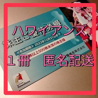 最新　常磐興産株主優待　スパリゾートハワイアンズ　1冊(その他)