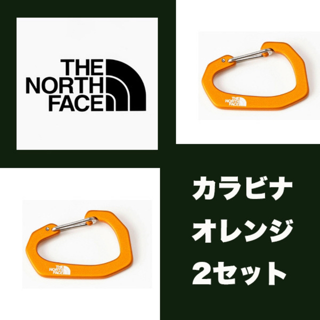 THE NORTH FACE(ザノースフェイス)の未開封　THE NORTH FACE ノースフェイス カラビナ メンズのファッション小物(キーホルダー)の商品写真