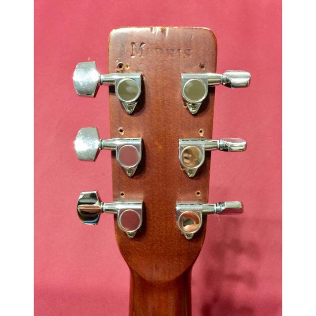 アコースティックギター  モーリス 楽器のギター(アコースティックギター)の商品写真