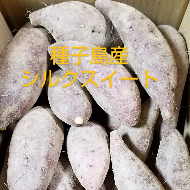 熟成済　種子島産シルクスイート　　　　2S~Lサイズ混合5キロ 食品/飲料/酒の食品(野菜)の商品写真