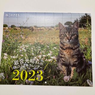 ねこのきもち 2023 カレンダー(カレンダー/スケジュール)