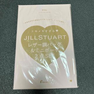 ジルスチュアート(JILLSTUART)のJILLSTUART レザー調バッグ&ミニポーチ2点セット(ポーチ)