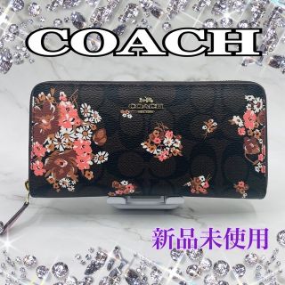 COACH - COACH 長財布 シグネチャー メドレーブーケ フローラル