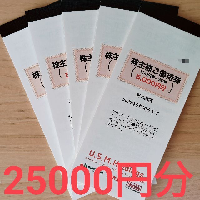 USMH 株主優待券 20,000円分