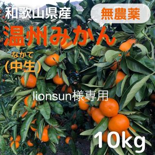 lionsun様　みかん10kg 農薬不使用 和歌山県産 送料込(フルーツ)