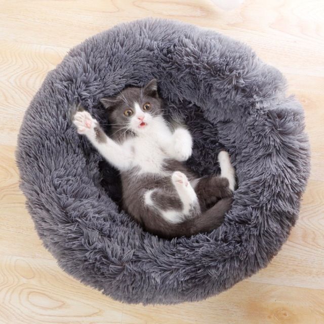 大人気★ ペットベット　猫ベッド 犬ベッド 猫クッションベッド 丸型 洗える その他のペット用品(猫)の商品写真