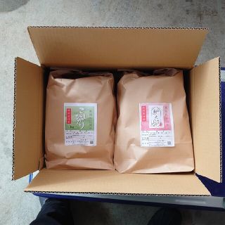 新潟米食べ比べセット10kg✕2(米/穀物)