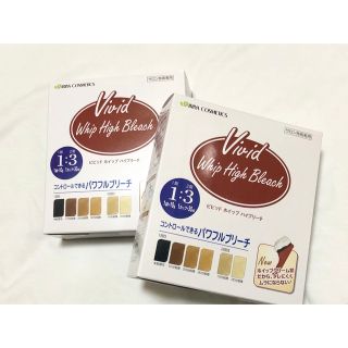 イリヤコスメティックス(IRIYA COSMETICS)のイリヤコスメティクス　ビビット ホイップハイブリーチ　2箱セット(ブリーチ剤)