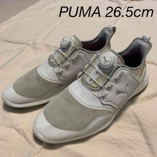 プーマ(PUMA)のPUMA ゴルフシューズ　26.5cm イグナイト(シューズ)