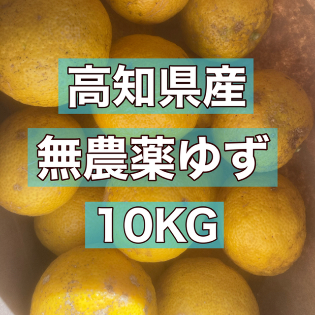 高知県産　無農薬ゆず　10kg 食品/飲料/酒の食品(フルーツ)の商品写真